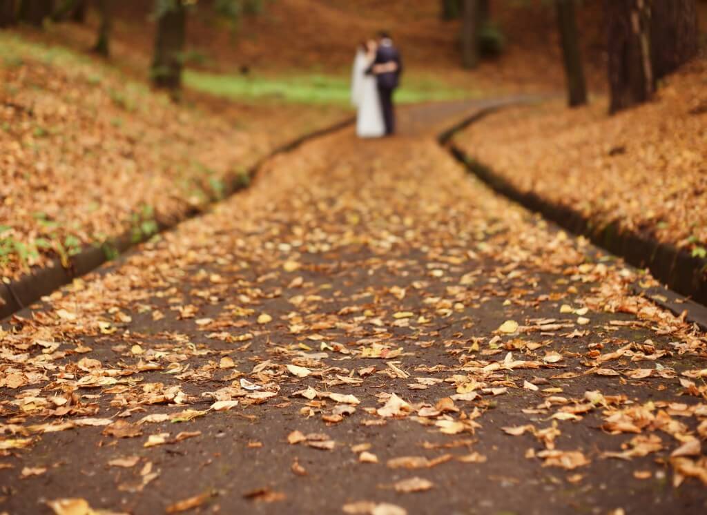 Autumn road